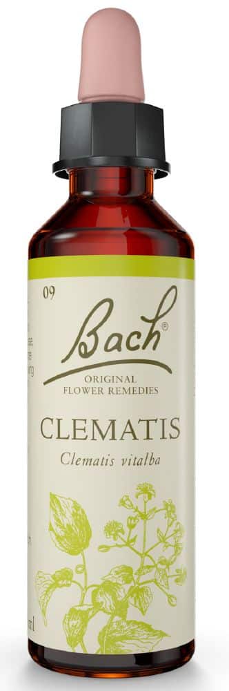 Bach Flower Clematis 20ml