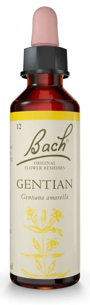 Bach Flower Gentian 20ml
