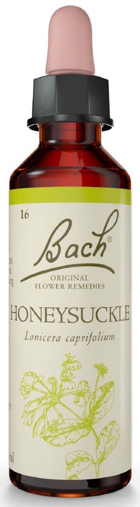 Bach Flower Honeysuckle 20ml