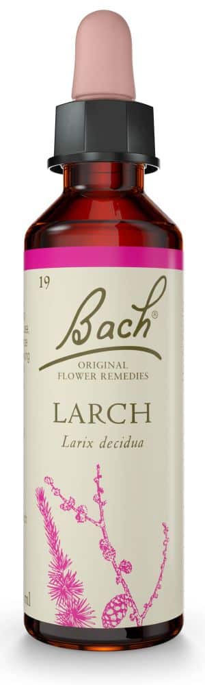 Bach Flower Larch 20ml