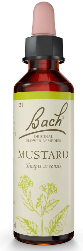Bach Flower Mustard 20ml
