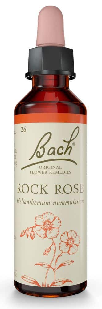 Bach Flower Rock Rose 20ml