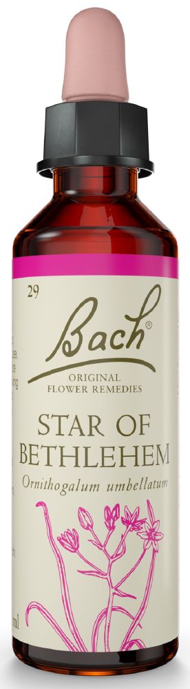 Bach Flower Star of Bethlehem 20ml