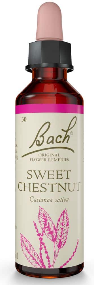 Bach Flower Sweet Chestnut 20ml
