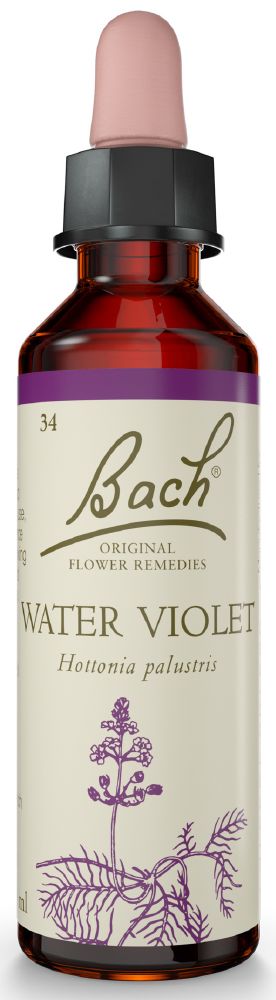Bach Flower Water Violet 20ml