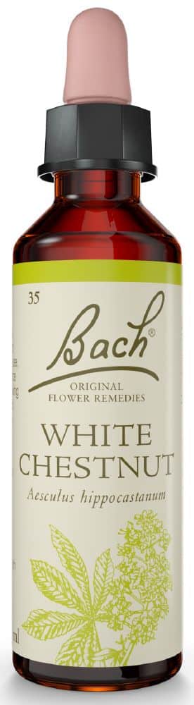 Bach Flower White Chestnut 20ml