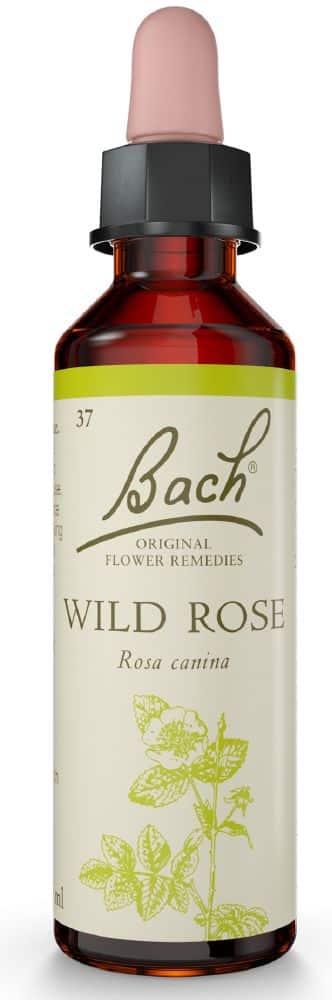 Bach Flower Wild Rose 20ml