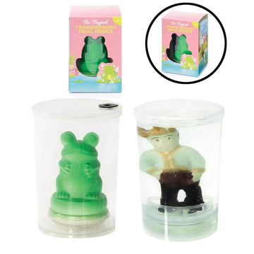 Magical Transforming Frog Prince