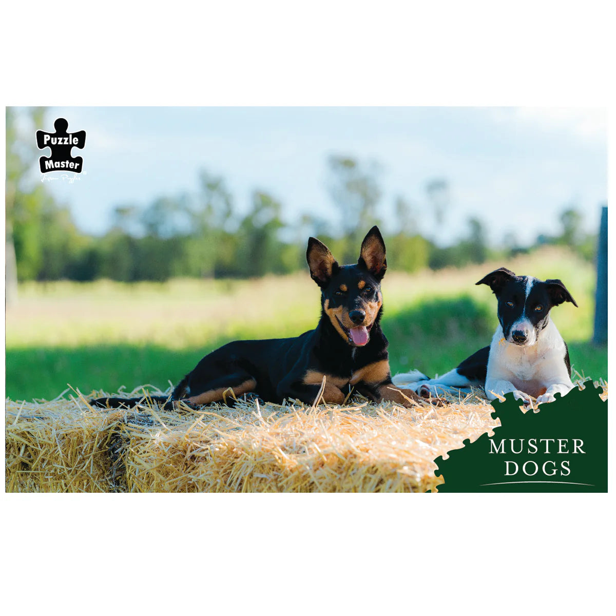 Muster Dogs Best Mates 1000 Pieces Jigsaw Puzzle