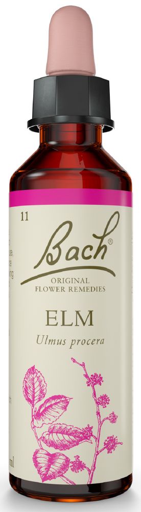 Bach Flower Elm 20ml