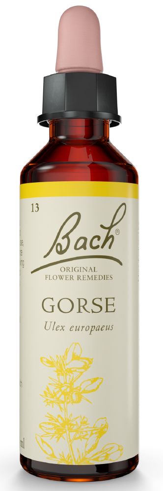 Bach Flower Gorse 20ml