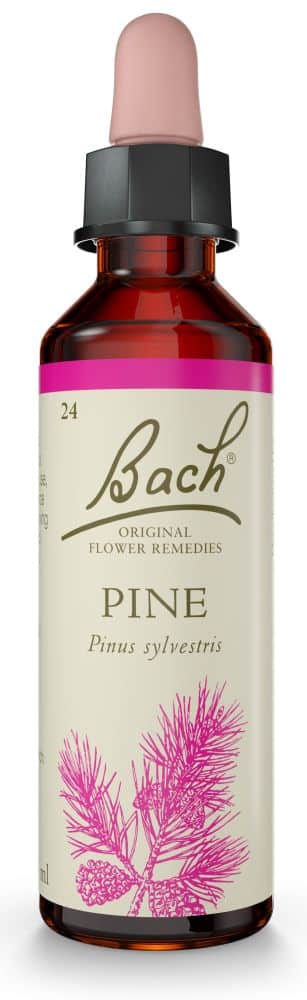 Bach Flower Pine 20ml