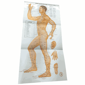 ACUPUNCTURE CHARTS ( XUE WEI GUA TU) - Set of 4