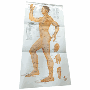 ACUPUNCTURE CHARTS ( XUE WEI GUA TU) - Set of 4