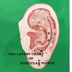 Auricular Points (Er Zhen Gua Tu)