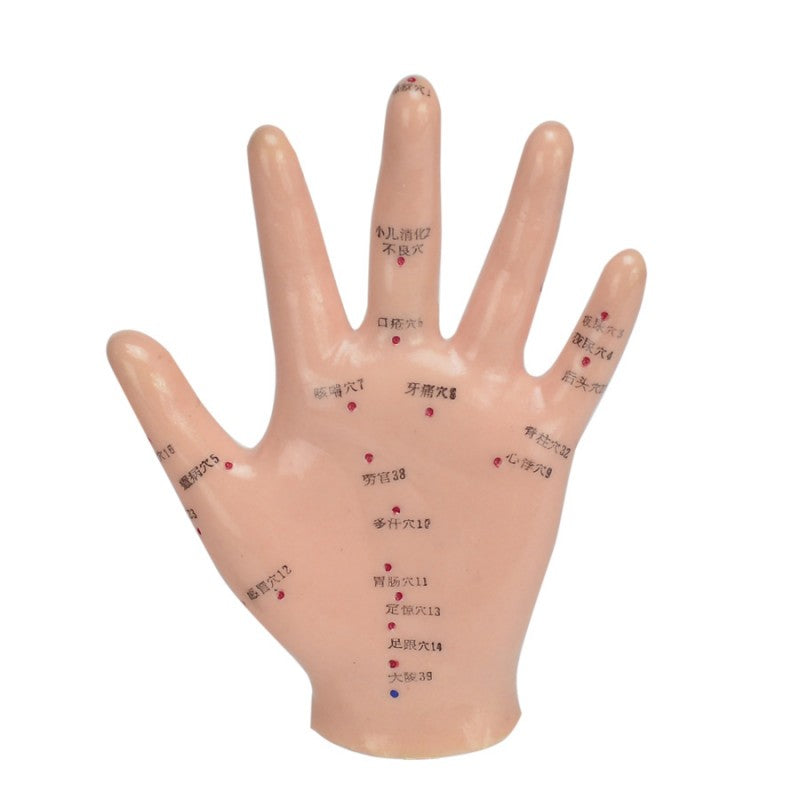 Hand Acupuncture Model 13 Cm