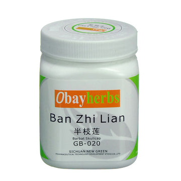 Ban Zhi Lian Barbat Skullcap
