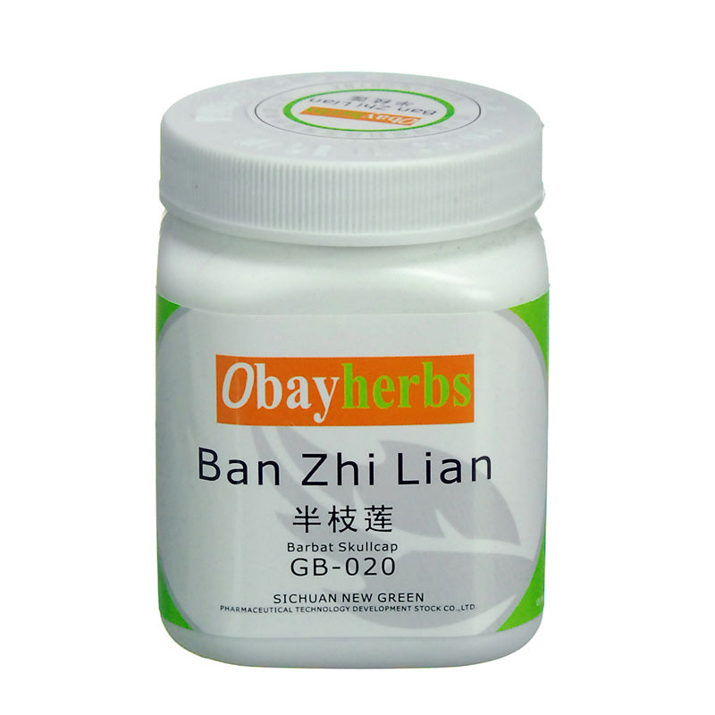 Ban Zhi Lian Barbat Skullcap