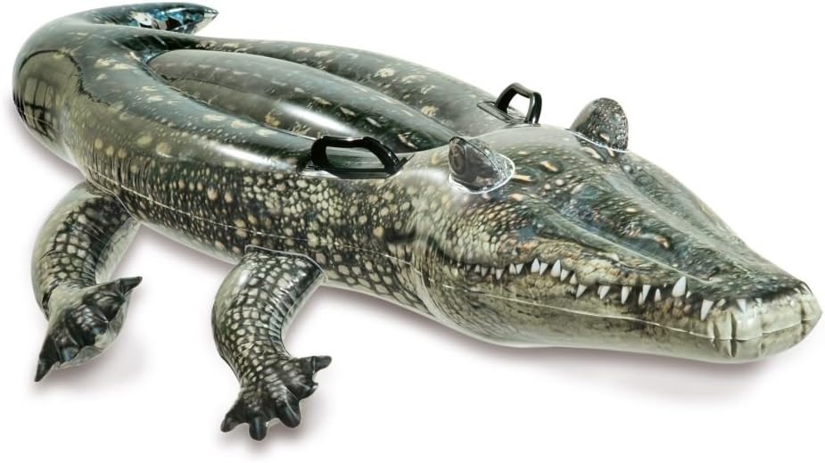 Realistic Gator Ride-On, Ages 3+, Size 1.7Mx86Cm by INTEX 57551NP